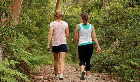Bradleys Head To Chowder Bay Walk - Attractions Melbourne 0