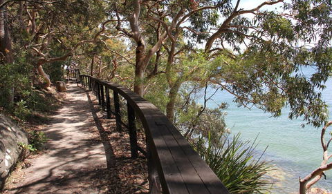 Bradleys Head To Chowder Bay Walk - Attractions Melbourne 2