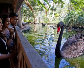 Nura Diya Aboriginal Wildlife Tour At Taronga Zoo - Attractions Melbourne 3