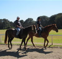 Centennial Parklands Equestrian Centre - Attractions Melbourne