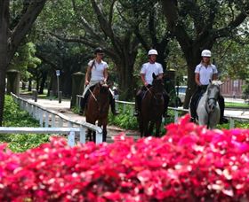 Centennial Parklands Horse Ride - Attractions Melbourne 1