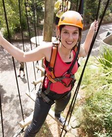Wild Ropes At Taronga Zoo - Attractions Melbourne 3