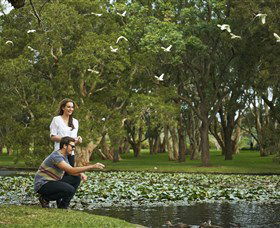 Centennial Parklands - Attractions Melbourne 3