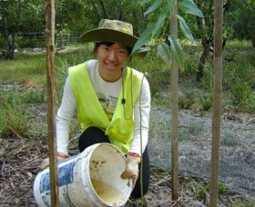 Conservation Volunteers Australia - Sydney - Attractions Melbourne 1