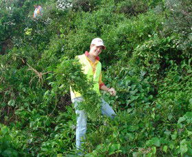 Conservation Volunteers Australia - Sydney - Attractions Melbourne 2