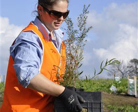 Conservation Volunteers Australia - Sydney - Attractions Melbourne 3