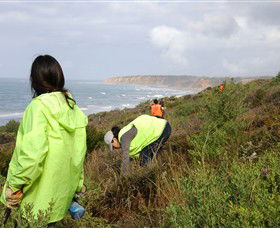 Conservation Volunteers Australia - Sydney - Attractions Melbourne 5