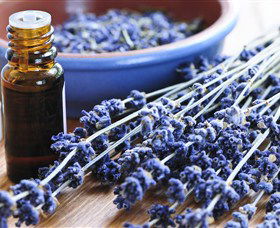 Pure Botanicals - Attractions Melbourne 2