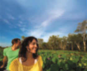AAT Kings Guided Tours (Top End) - Attractions Melbourne 3