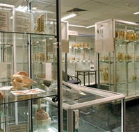 Museum of Human Disease - Attractions Melbourne