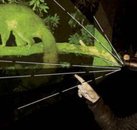 After Dark Nature Tours - Attractions Melbourne