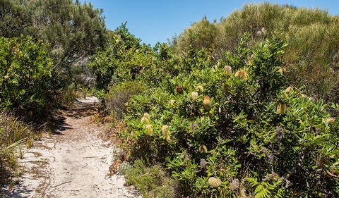 Henry Head Walking Track - Attractions Melbourne 0