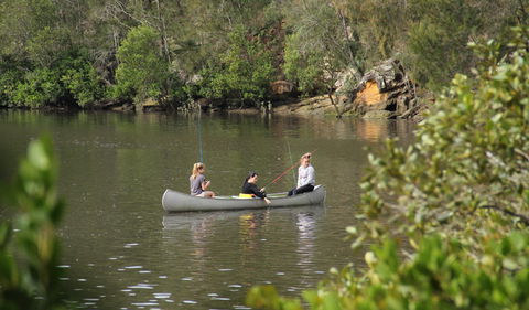 Berowra Valley National Park - Attractions Melbourne 2