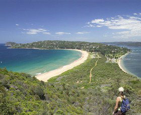 Palm Beach - Attractions Melbourne 7