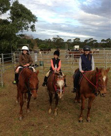 Sydney Trail Riding Centre - Attractions Melbourne 2