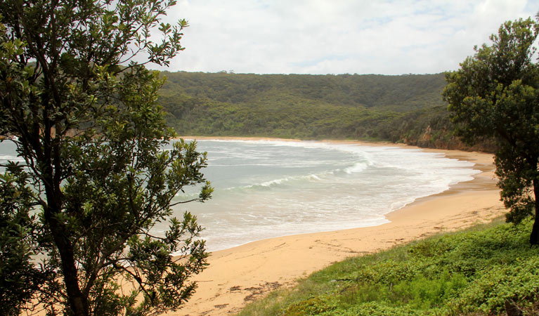 Avoca Beach NSW Attractions Melbourne
