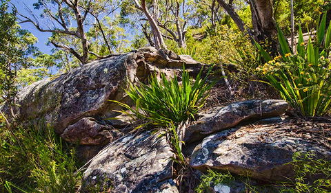 Canoelands Ridge Walking Track - Attractions Melbourne 1