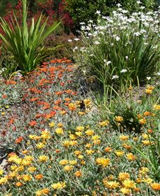Mt Penang Gardens - Attractions Melbourne 4