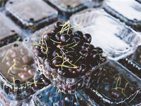 Adelaide Farmers' Market Showground - Attractions Melbourne 1