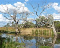 Lagoon Creek
