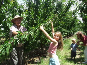 Forest Range ACT Attractions Melbourne