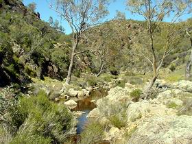 Saunders Gorge Sanctuary - Attractions Melbourne 1