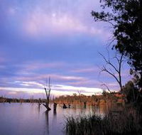 Loch Luna Game Reserve and Moorook Game Reserve - Attractions Melbourne