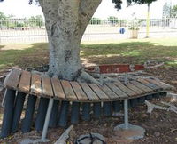 Barcaldine Musical Instruments