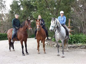 Academy Of Dressage - Attractions Melbourne 0