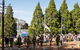 Macclesfield ANZAC Memorial Gardens - thumb 1