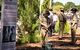 Macclesfield ANZAC Memorial Gardens - thumb 0
