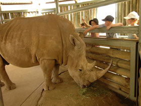 Monarto Open Range Zoo - Attractions Melbourne 2