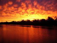 Warrego River Walk