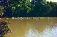 Warrego River Walk - Attractions Melbourne 3
