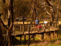 Loxton's Drives Walks and Trails