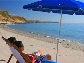 Lady Bay Beach - Attractions Melbourne 0