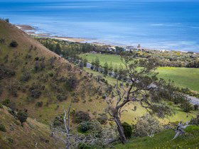 Lady Bay Beach - Attractions Melbourne 1