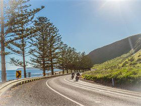 Lady Bay Beach - Attractions Melbourne 2