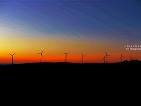 Starfish Hill Windfarm - Attractions Melbourne 0