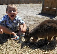 Animal Farm Goolwa - Attractions Melbourne