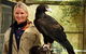 Raptor Domain - thumb 1