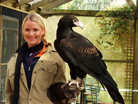 Raptor Domain - Attractions Melbourne 1