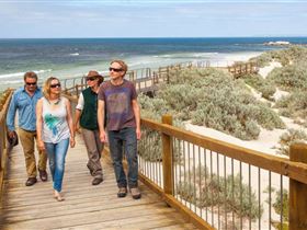 Seal Bay Conservation Park - Attractions Melbourne 3