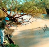 Charleville - Ward River Fishing Spot - Attractions Melbourne