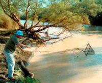 Charleville - Ward River Fishing Spot