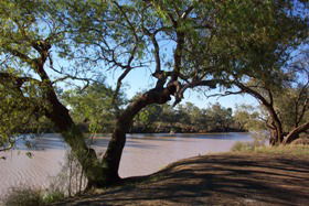 Charleville - Bakers Bend Warrego River Fishing Spot - Attractions Melbourne 1