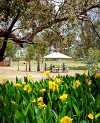 Charleville - Graham Andrews Parklands
