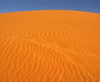 Perry Sandhills