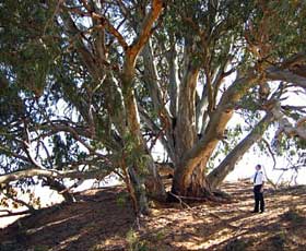 Perry Sandhills - Attractions Melbourne 2