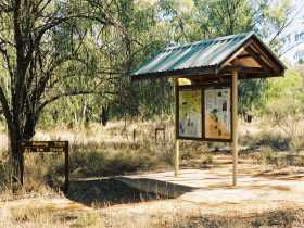  Attractions Melbourne